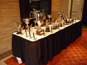 Awards on display